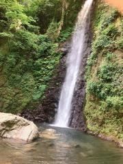 養老の滝