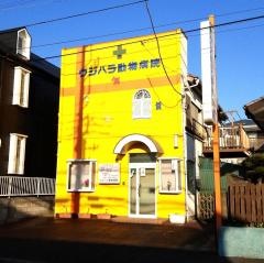 ウジハラ動物病院