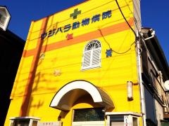 ウジハラ動物病院