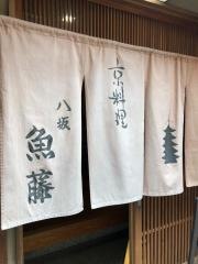 魚藤