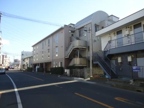 ひなげし