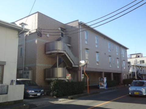 ひなげし