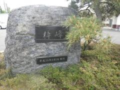 梓苑