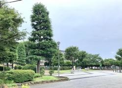 青戸平和公園