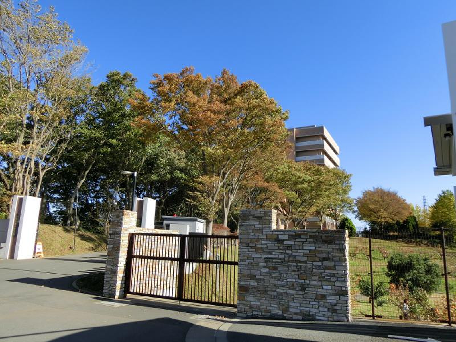 東京 農業 大学 厚木 キャンパス