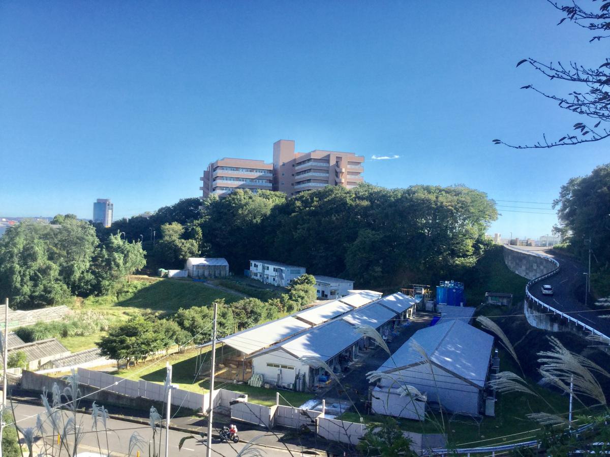 東京 農業 大学 厚木 キャンパス