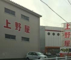 上野屋磐田店