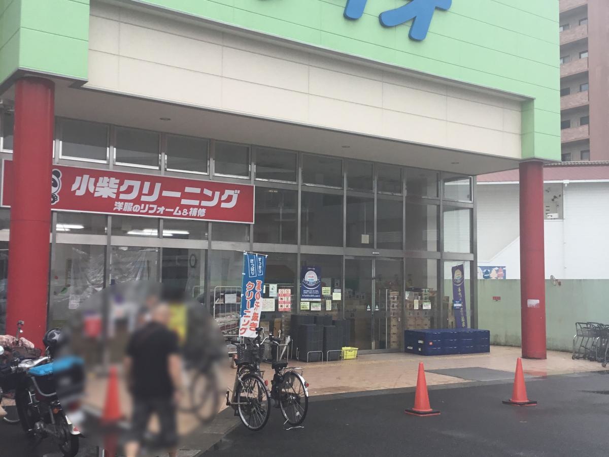 ディオ