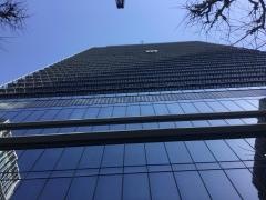 ネットワンシステムズ株式会社