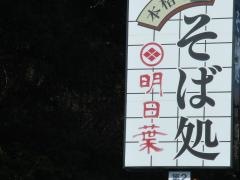 明日葉