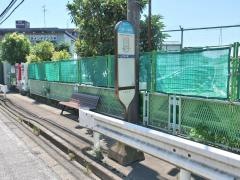 「白幡八幡前」バス停留所