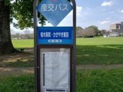 「植木病院・かがやき館前(西側)」バス停留所