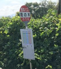「塔の木」バス停留所