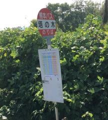 「塔の木」バス停留所