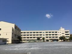 新井小学校