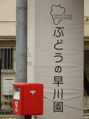 早川園