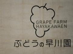 早川園