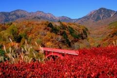 川俣東沢渓谷