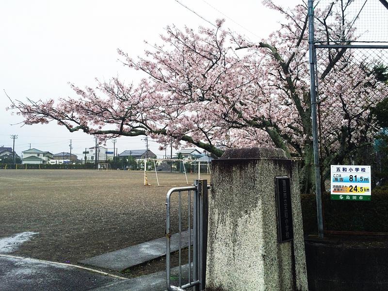 五和小学校