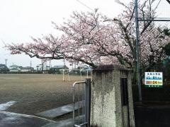 五和小学校