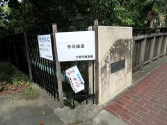 今川緑道