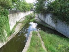 今川緑道
