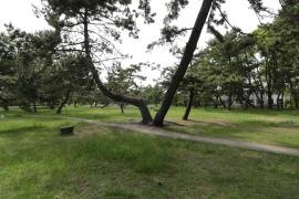 曽根松原公園