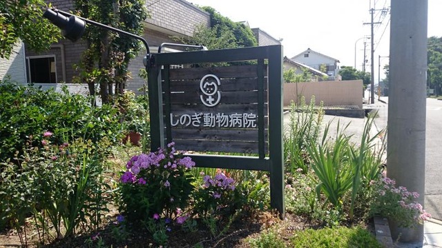 施設写真10