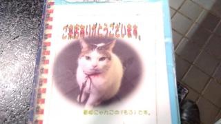 にくまさ