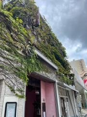 イル・ベヴィトーレ