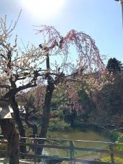 もりおかかいうん神社
