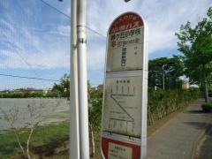 「緑ケ丘小学校」バス停留所