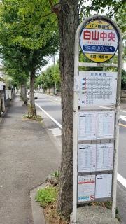 「白山中央」バス停留所