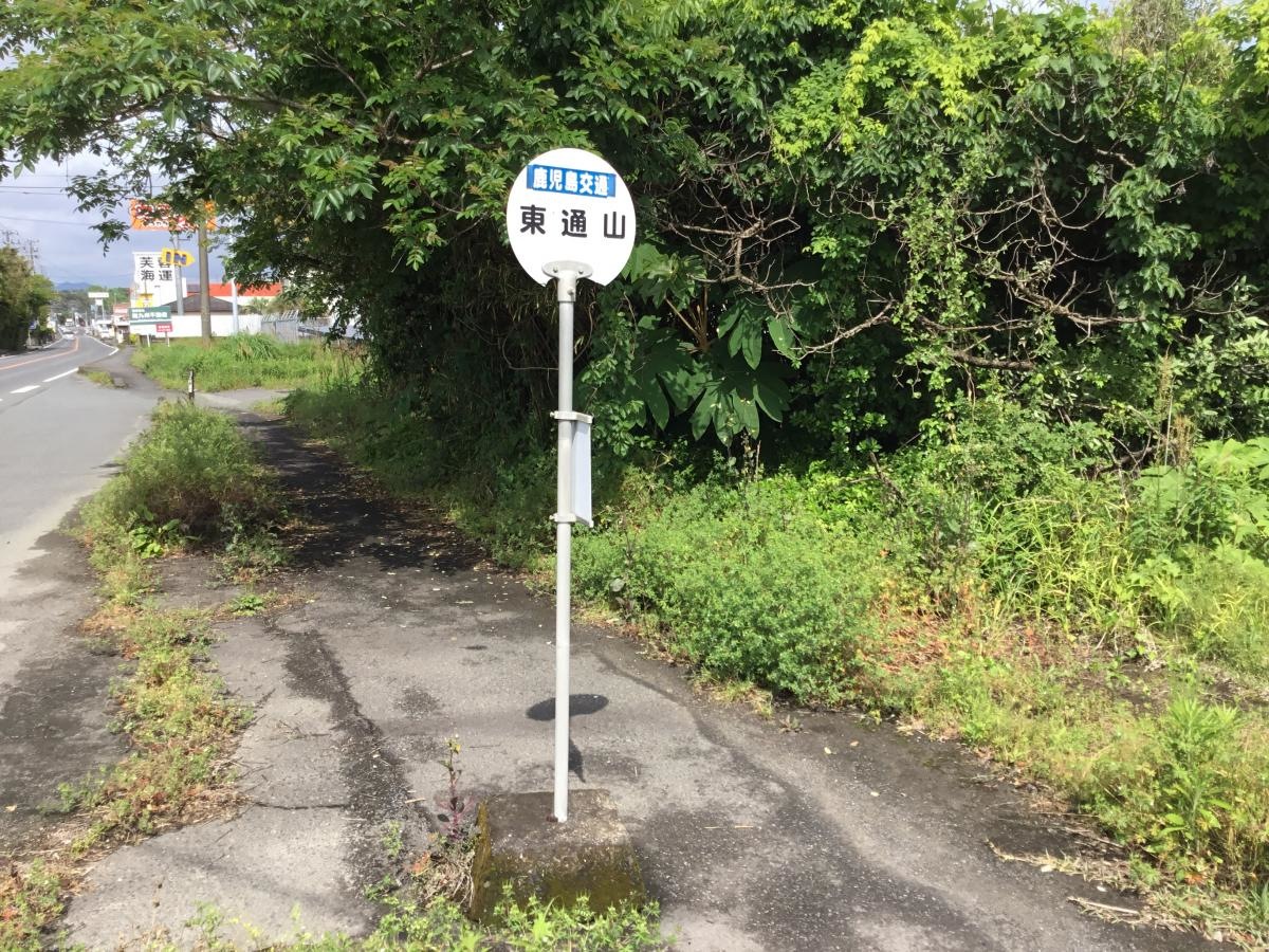 全景です｡