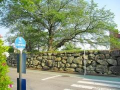 「玉城町役場前」バス停留所