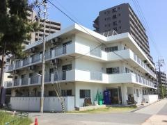 はぴね神戸魚崎