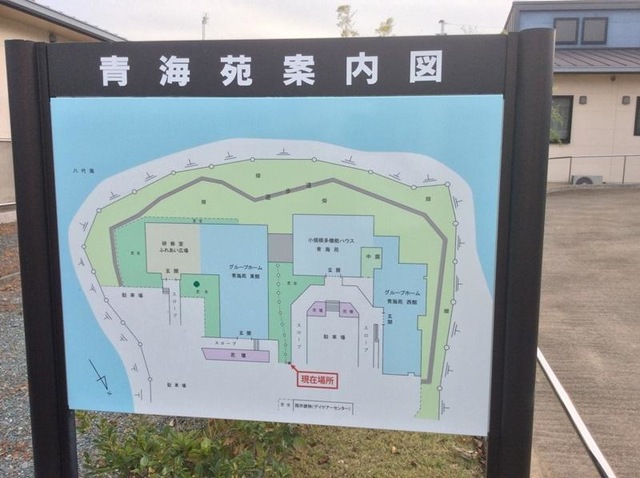 青海苑