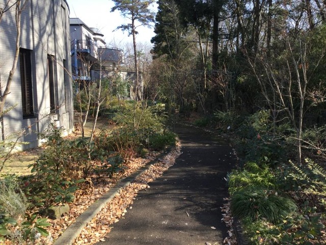 なでしこ 設備