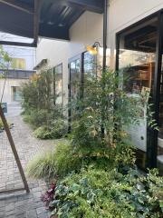 ＣＡＦＥ　ＺＵ－ＣＣＯＴＴＯ