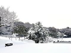 東建多度カントリークラブ・名古屋／ホテル多度温泉〔スキー場〕