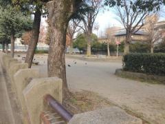 殿田公園