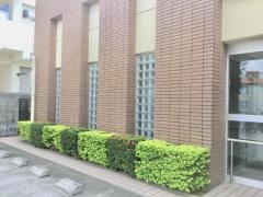 徳山内科医院