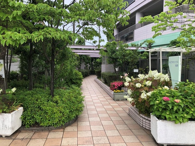 敷地内庭園の写真です。