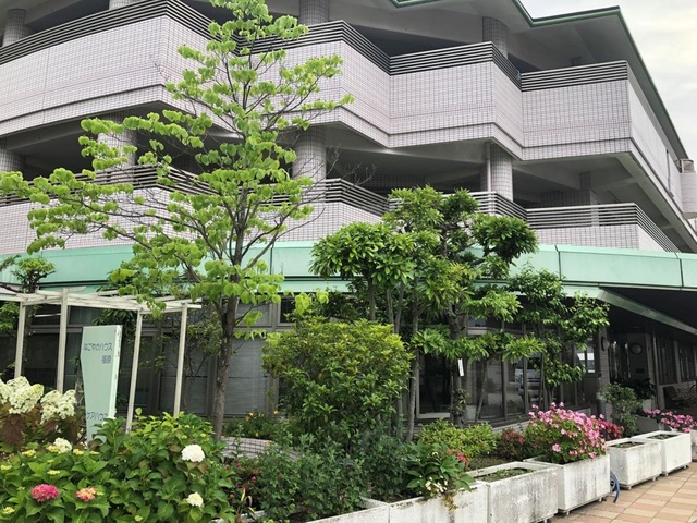 敷地内庭園の写真です。
