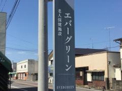 エバーグリーン