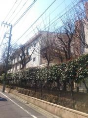 富士見台小学校