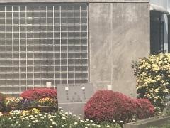 岡部医院