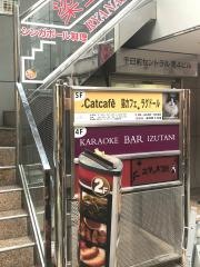 猫カフェラグドール