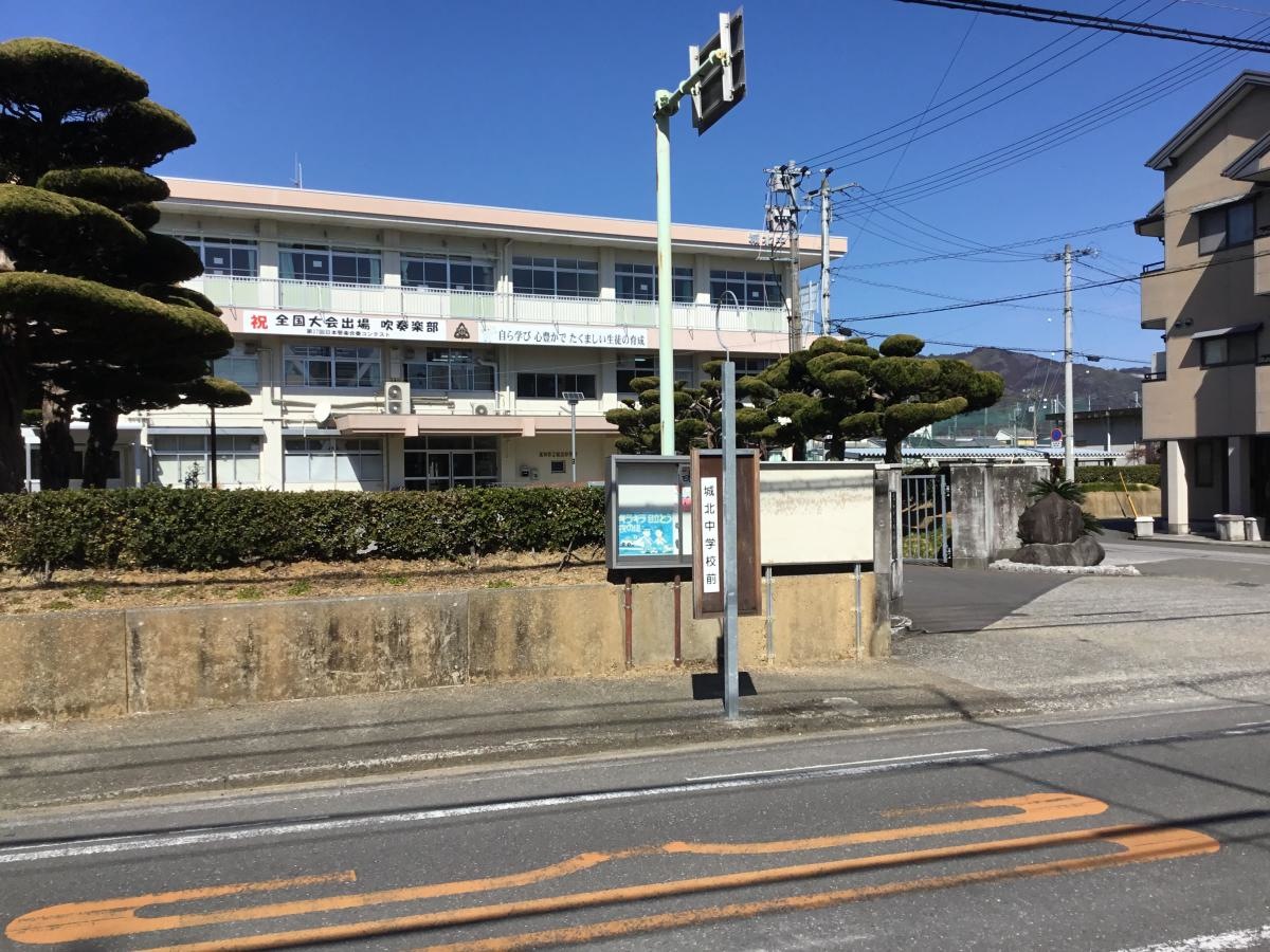 全景です。