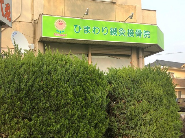 ひまわり鍼灸接骨院